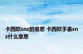 卡西欧snz的意思 卡西欧手表snz什么意思