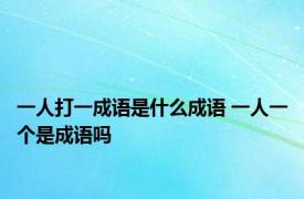 一人打一成语是什么成语 一人一个是成语吗