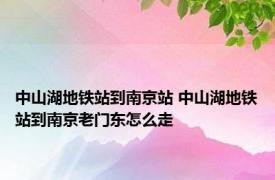 中山湖地铁站到南京站 中山湖地铁站到南京老门东怎么走