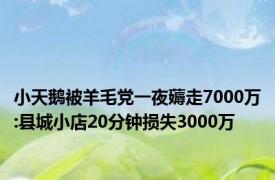 小天鹅被羊毛党一夜薅走7000万:县城小店20分钟损失3000万