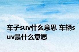 车子suv什么意思 车辆suv是什么意思