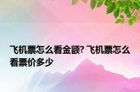 飞机票怎么看金额? 飞机票怎么看票价多少