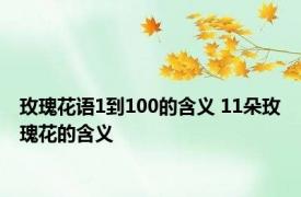 玫瑰花语1到100的含义 11朵玫瑰花的含义