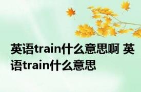 英语train什么意思啊 英语train什么意思