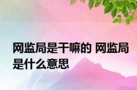 网监局是干嘛的 网监局是什么意思