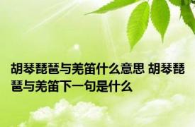 胡琴琵琶与羌笛什么意思 胡琴琵琶与羌笛下一句是什么