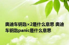 奥迪车钥匙×2是什么意思 奥迪车钥匙panic是什么意思