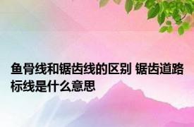 鱼骨线和锯齿线的区别 锯齿道路标线是什么意思