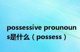 possessive prounouns是什么（possess）