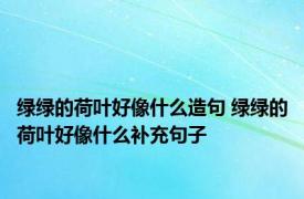 绿绿的荷叶好像什么造句 绿绿的荷叶好像什么补充句子