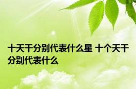 十天干分别代表什么星 十个天干分别代表什么