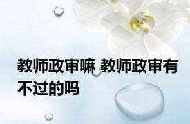 教师政审嘛 教师政审有不过的吗