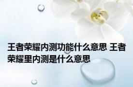 王者荣耀内测功能什么意思 王者荣耀里内测是什么意思