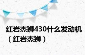 红岩杰狮430什么发动机（红岩杰狮）