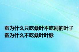 蚕为什么只吃桑叶不吃别的叶子 蚕为什么不吃桑叶叶脉