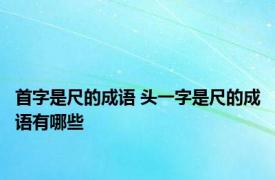 首字是尺的成语 头一字是尺的成语有哪些