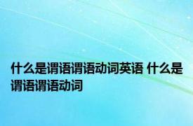 什么是谓语谓语动词英语 什么是谓语谓语动词