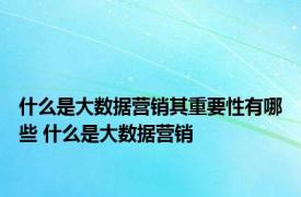 什么是大数据营销其重要性有哪些 什么是大数据营销