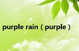 purple rain（purple）