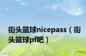 街头篮球nicepass（街头篮球pf吧）