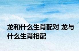 龙和什么生肖配对 龙与什么生肖相配