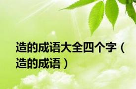 造的成语大全四个字（造的成语）