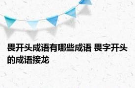 畏开头成语有哪些成语 畏字开头的成语接龙