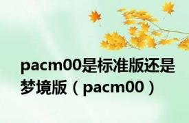 pacm00是标准版还是梦境版（pacm00）