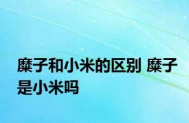 糜子和小米的区别 糜子是小米吗