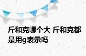 斤和克哪个大 斤和克都是用g表示吗