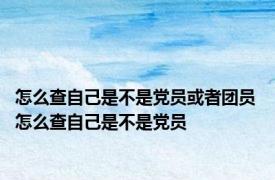 怎么查自己是不是党员或者团员 怎么查自己是不是党员