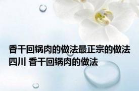 香干回锅肉的做法最正宗的做法四川 香干回锅肉的做法