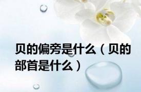 贝的偏旁是什么（贝的部首是什么）