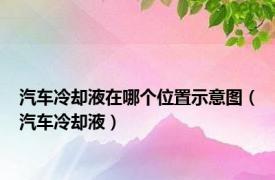 汽车冷却液在哪个位置示意图（汽车冷却液）