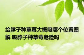 给脖子种草莓大概吸哪个位置图解 吸脖子种草莓危险吗