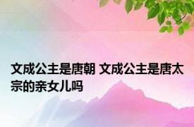 文成公主是唐朝 文成公主是唐太宗的亲女儿吗