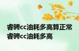 睿骋cc油耗多高算正常 睿骋cc油耗多高