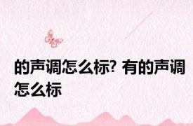 的声调怎么标? 有的声调怎么标