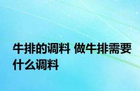 牛排的调料 做牛排需要什么调料