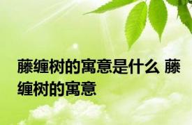 藤缠树的寓意是什么 藤缠树的寓意