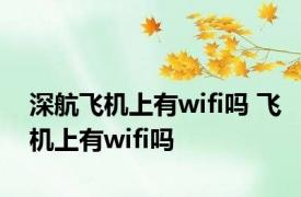 深航飞机上有wifi吗 飞机上有wifi吗