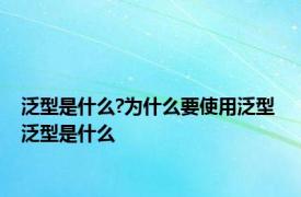 泛型是什么?为什么要使用泛型 泛型是什么