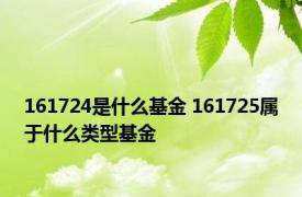 161724是什么基金 161725属于什么类型基金