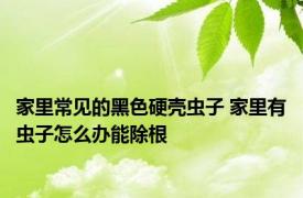 家里常见的黑色硬壳虫子 家里有虫子怎么办能除根