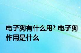 电子狗有什么用? 电子狗作用是什么