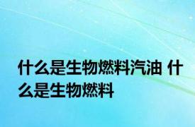 什么是生物燃料汽油 什么是生物燃料