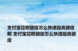 支付宝花呗额度怎么快速提高额度呢 支付宝花呗额度怎么快速提高额度