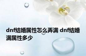 dnf结婚属性怎么弄满 dnf结婚满属性多少