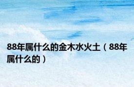 88年属什么的金木水火土（88年属什么的）