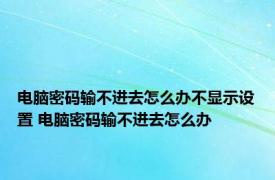 电脑密码输不进去怎么办不显示设置 电脑密码输不进去怎么办